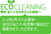 eco cleaning